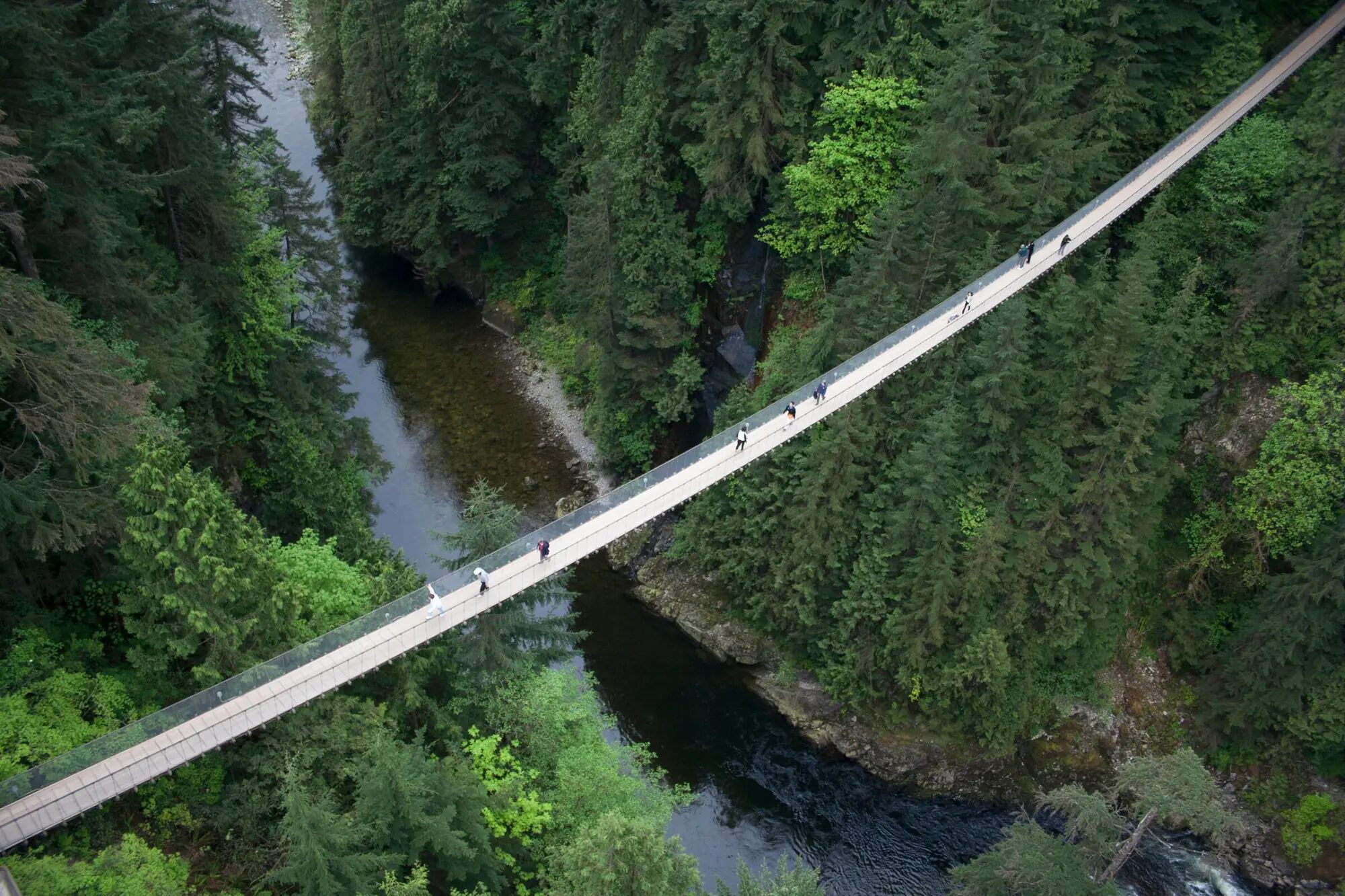 The Ultimate Guide to Capilano Suspension Bridge